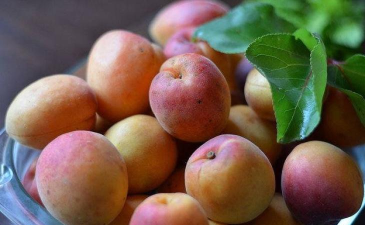Варенье из абрикос на зиму — простые рецепты