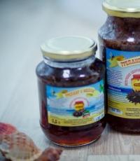 Трепанг на меду: польза, рецепты, показания к применению